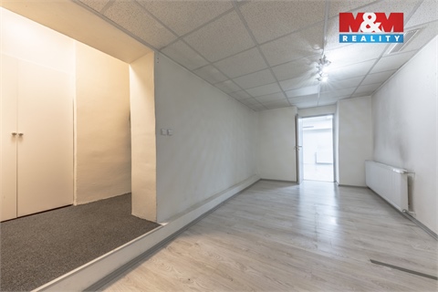 Pronájem obchodních prostor, 100 m² - 8