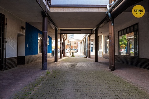 Pronájem obchodních prostor, 110 m² - 14