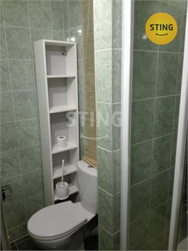 Pronájem bytu 2+1, 56 m² 4