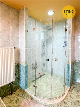 Prodej rodinného domu, 248 m² - 10