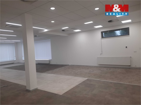 Pronájem obchodních prostor, 185 m² 4