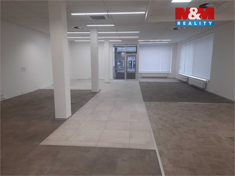 Pronájem obchodních prostor, 185 m² - 8