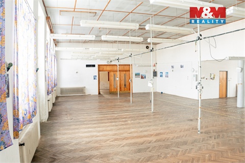 Pronájem obchodních prostor, 345 m² - 0