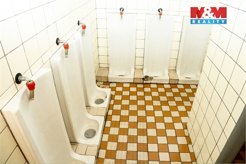 Pronájem obchodních prostor, 345 m² 14