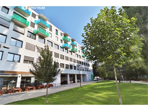 Pronájem bytu 1kk, 42 m² 0