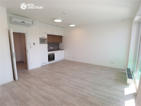 Pronájem bytu 1kk, 42 m² 2