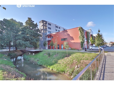 Pronájem bytu 1kk, 42 m² 22