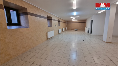Pronájem obchodních prostor, 230 m² - 0