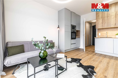 Pronájem bytu 1kk, 34 m² - 0