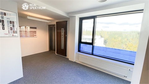 Pronájem obchodních prostor, 427 m² - 8