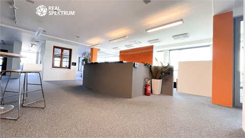 Pronájem obchodních prostor, 427 m² - 4