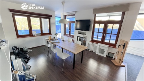 Pronájem obchodních prostor, 427 m² - 2