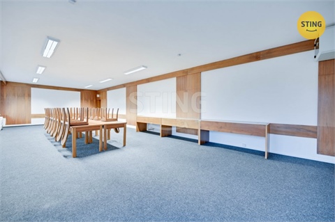 Pronájem obchodních prostor, 300 m² 6