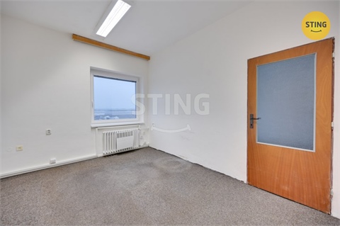 Pronájem obchodních prostor, 300 m² 14