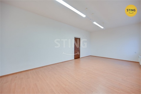 Pronájem obchodních prostor, 300 m² - 10