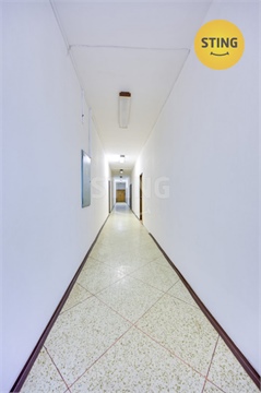 Pronájem obchodních prostor, 300 m² 18