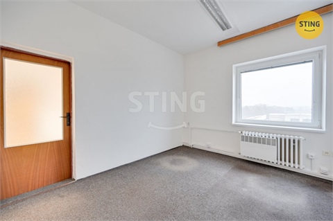 Pronájem obchodních prostor, 300 m² 8