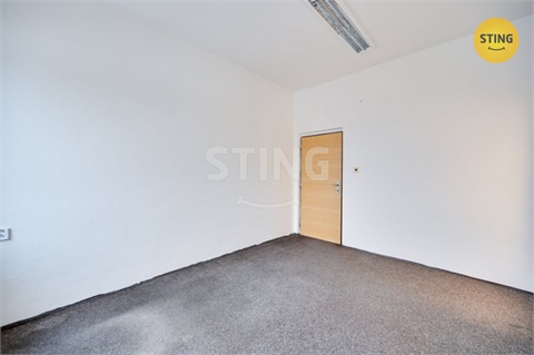 Pronájem obchodních prostor, 300 m² - 12