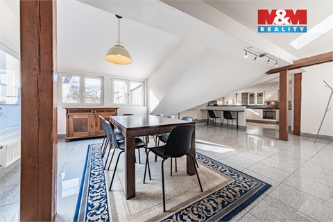 Prodej atypického bytu, 300 m² - 6