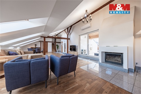 Prodej atypického bytu, 300 m² - 22