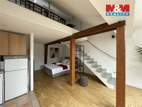 Prodej atypického bytu, 300 m² - 26