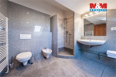 Prodej atypického bytu, 300 m² 18