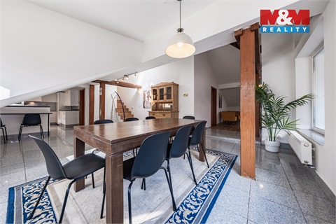 Prodej atypického bytu, 300 m² - 14