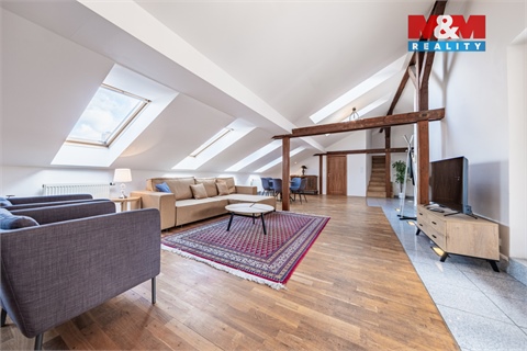 Prodej atypického bytu, 300 m² 14