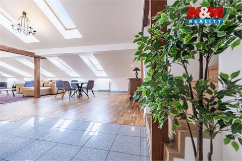 Prodej atypického bytu, 300 m² - 0