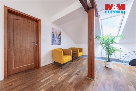 Prodej atypického bytu, 300 m² 12