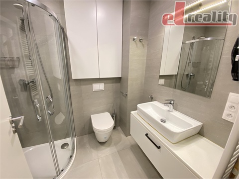 Pronájem bytu 1kk, 36 m² 4