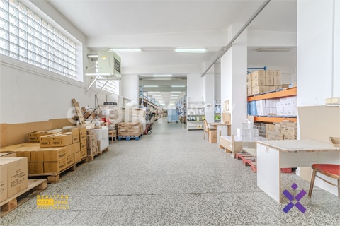 Prodej výrobního objektu, 3 394 m² - 6