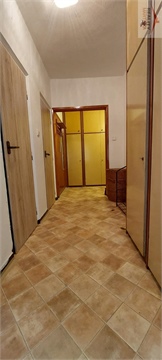 Pronájem bytu 2+1, 53 m² 12