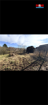 Prodej louky, 238 m² - 0