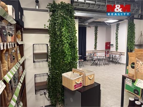 Pronájem obchodních prostor, 17 m² - 8