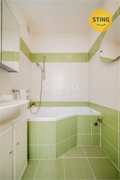 Prodej bytu 2+1, 56 m² - 12