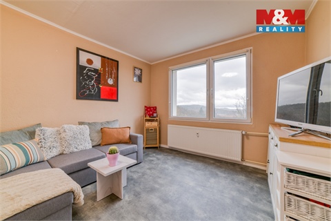 Prodej bytu 1+1, 39 m² - 10