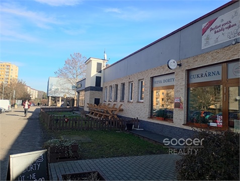 Pronájem bytu 1kk, 29 m² - 4