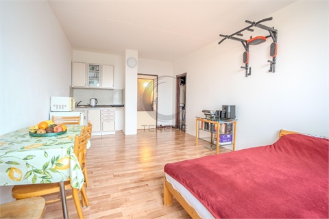 Prodej bytu 1kk, 31 m² 4