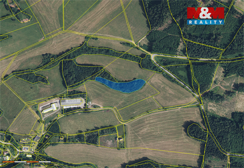 Prodej lesu, 6 869 m² - 0