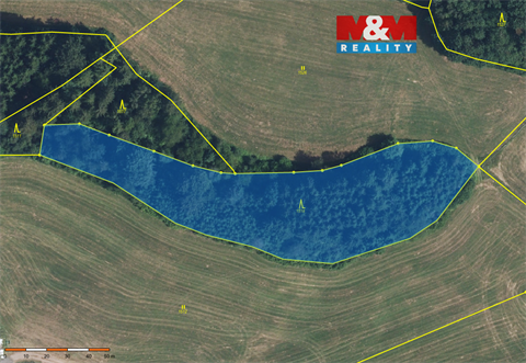 Prodej lesu, 6 869 m² 0