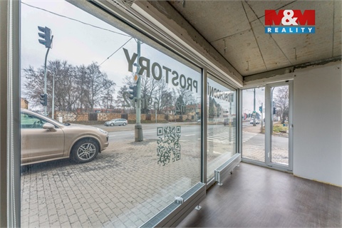 Pronájem obchodních prostor, 168 m² - 8