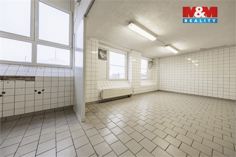 Pronájem skladu / haly, 249 m² - 10