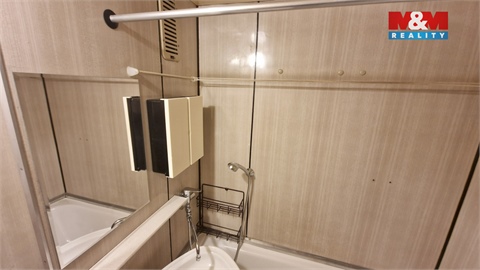 Pronájem bytu 3+1, 81 m² 14