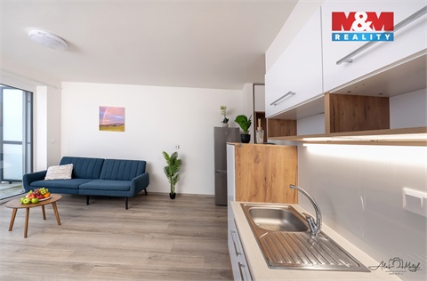 Prodej bytu 1kk, 32 m² - 6