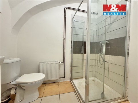 Pronájem bytu 1+1, 45 m² 2