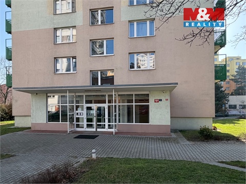 Pronájem bytu 1kk, 28 m² 10