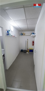 Pronájem obchodních prostor, 54 m² - 6
