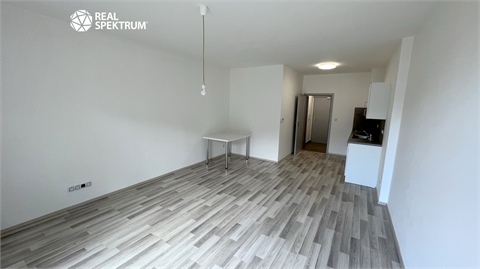 Pronájem bytu 1kk, 45 m² - 4