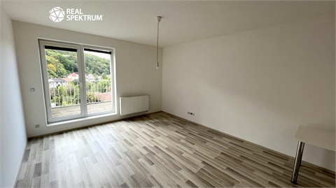 Pronájem bytu 1kk, 45 m² 4